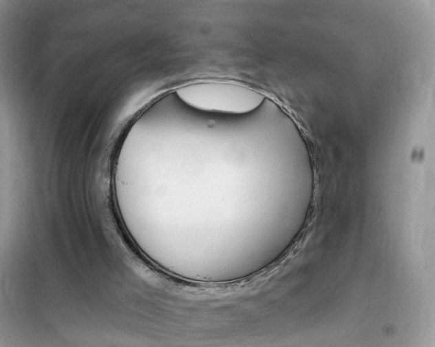 X0000102350005200808010946