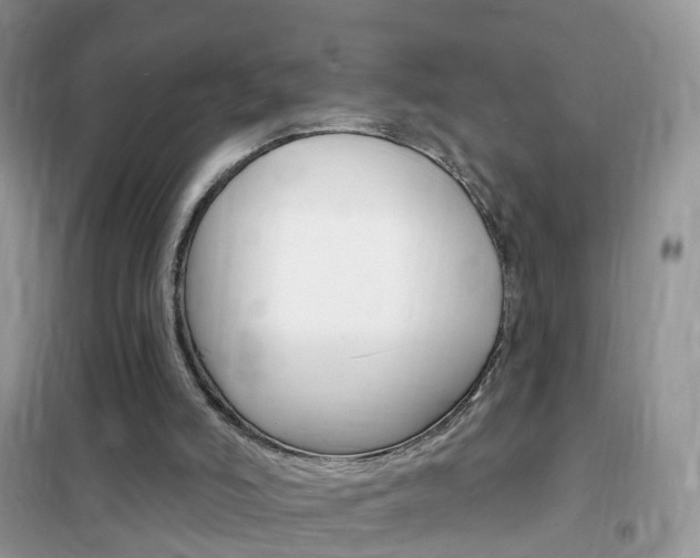 X0000102350006200808010946