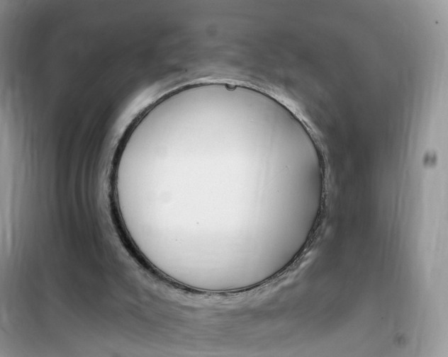 X0000102350007200808010946