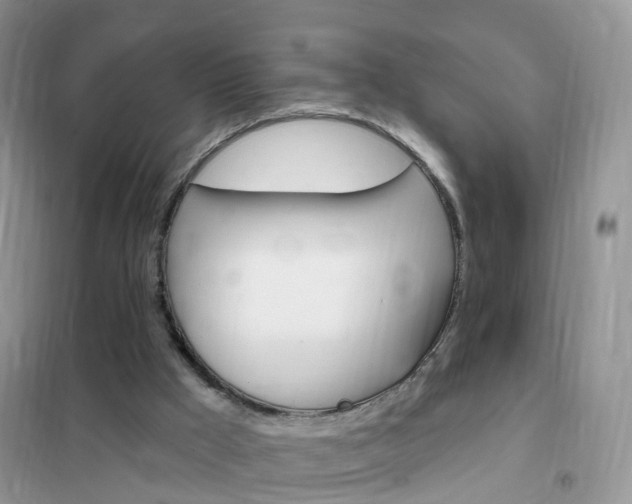 X0000102350009200808010946