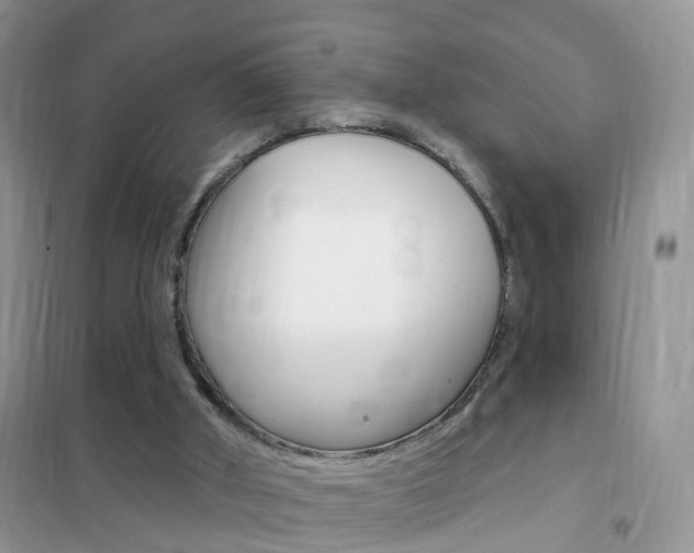 X0000102350010200808010946