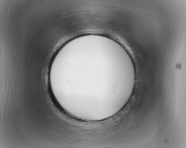 X0000102350011200808010946