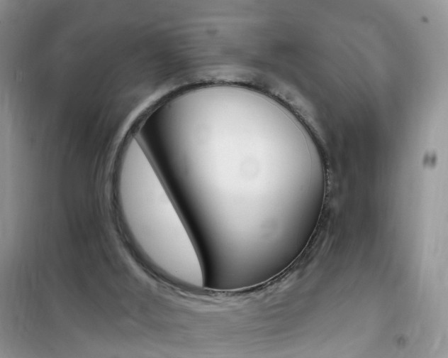 X0000102350012200808010946