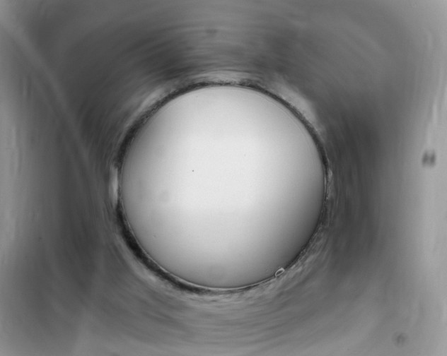 X0000102350013200808010946