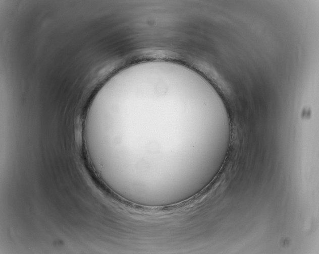 X0000102350014200808010946