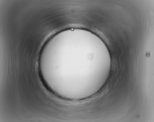 X0000102350015200808010946