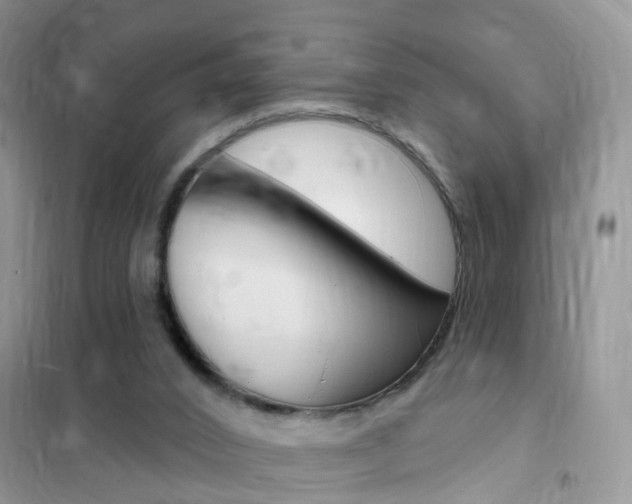 X0000102350016200808010946