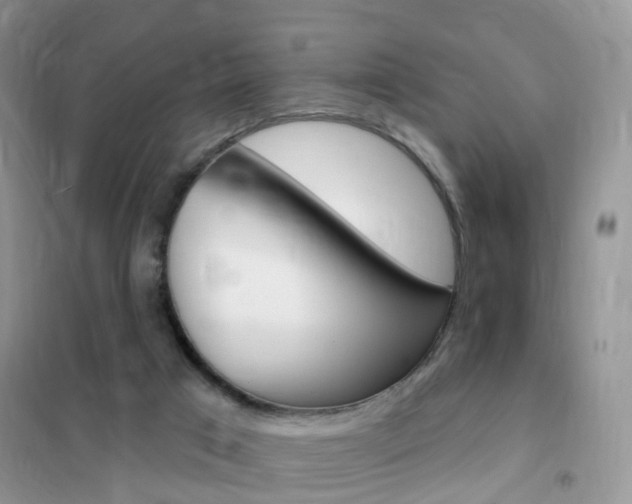 X0000102350017200808010946