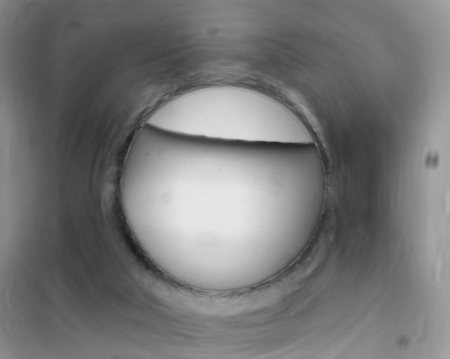 X0000102350018200808010946