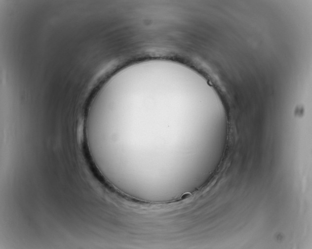 X0000102350019200808010946