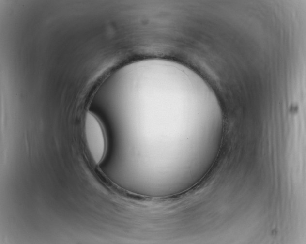 X0000102350020200808010946