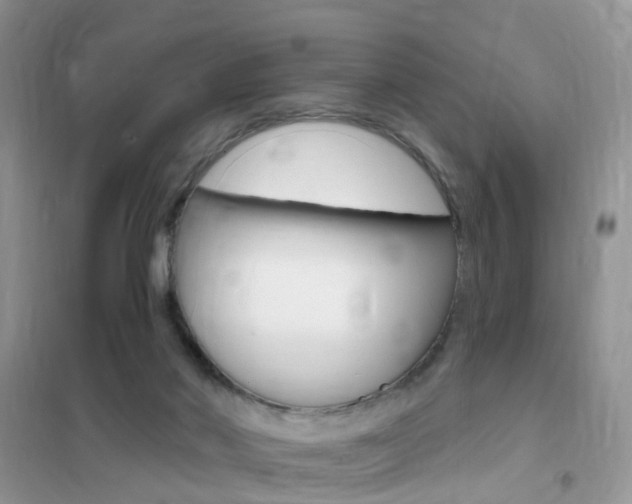 X0000102350022200808010946