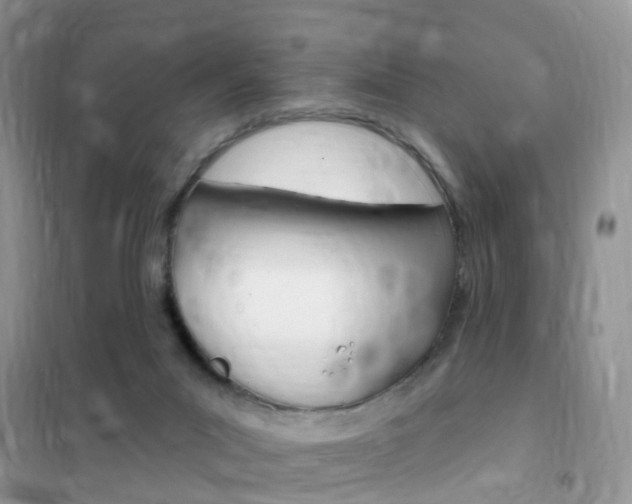 X0000102350023200808010946