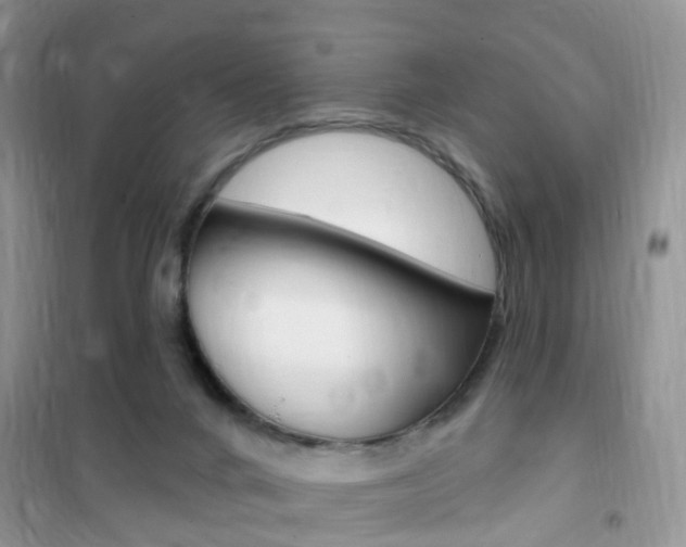 X0000102350024200808010946