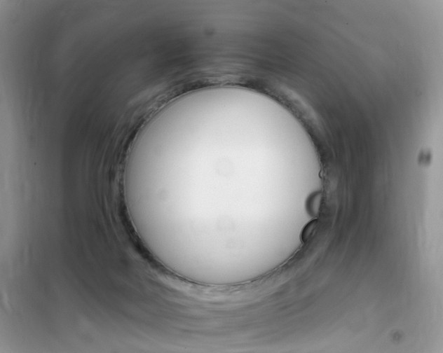 X0000102350026200808010946