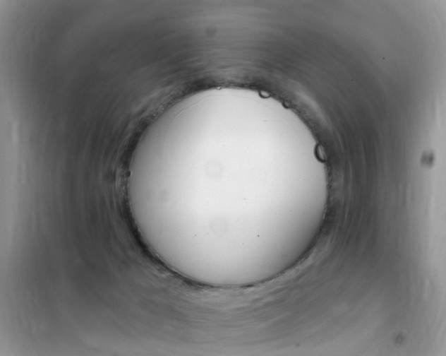 X0000102350029200808010946