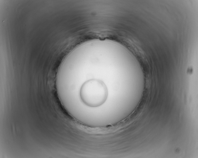 X0000102350030200808010946