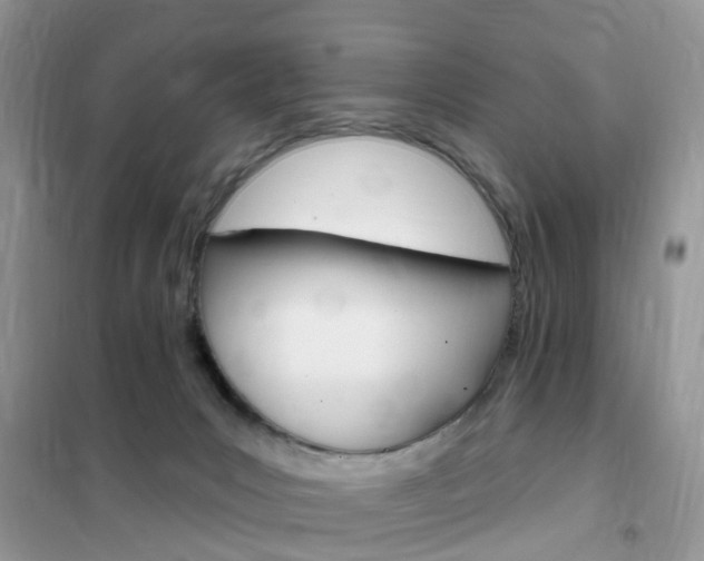 X0000102350031200808010946