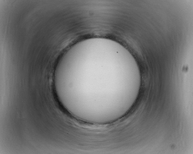 X0000102350032200808010946