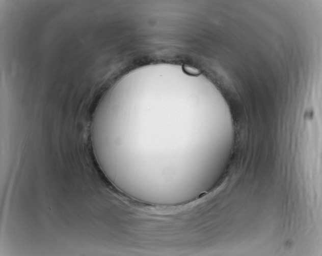 X0000102350033200808010946