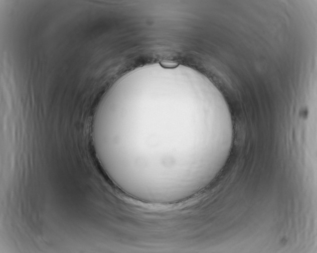 X0000102350034200808010946