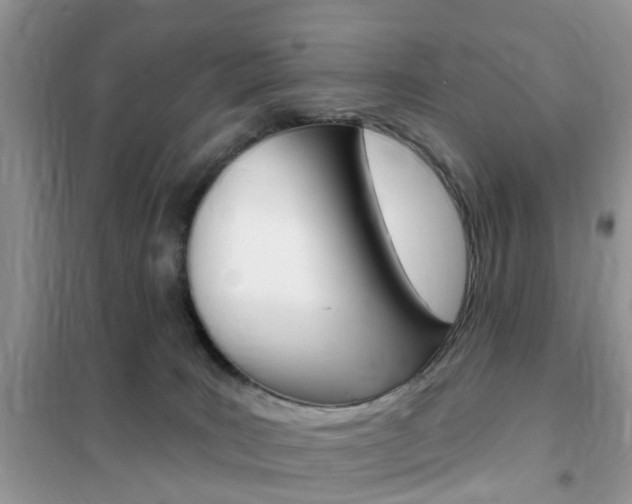 X0000102350035200808010946