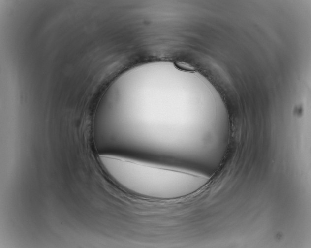 X0000102350036200808010946