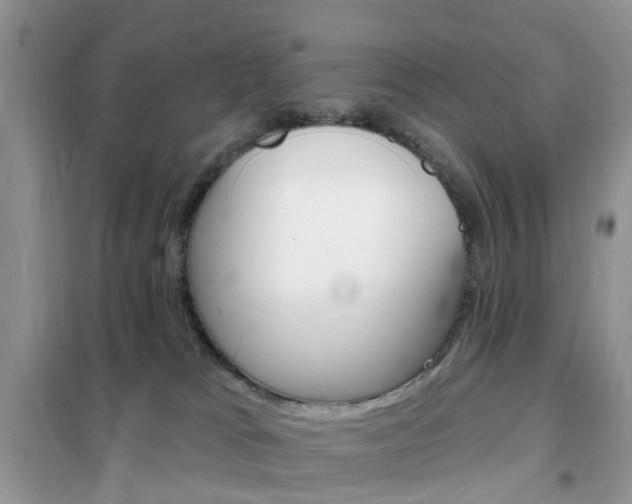 X0000102350037200808010946