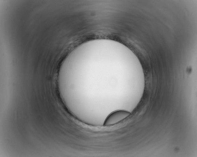 X0000102350038200808010946