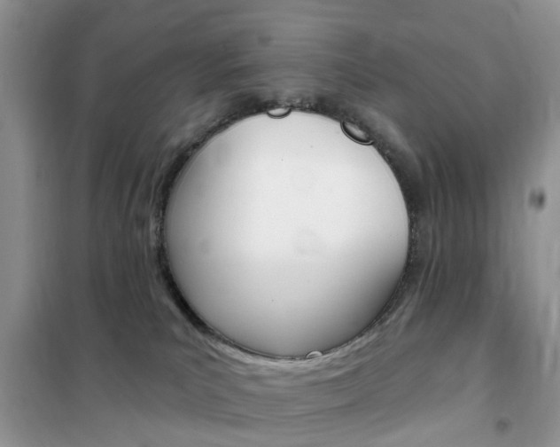 X0000102350039200808010946