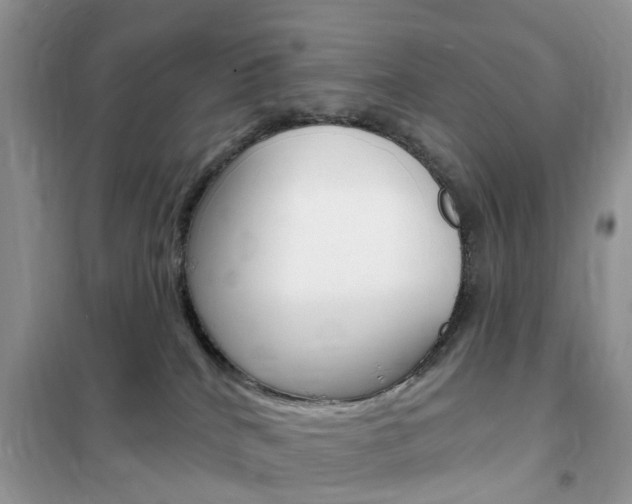 X0000102350040200808010946