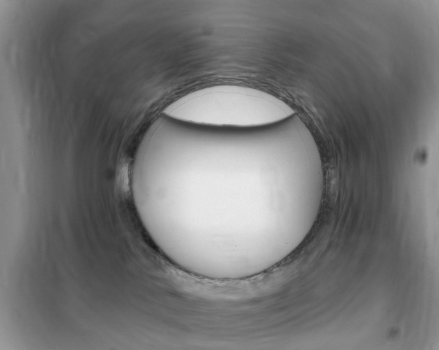 X0000102350042200808010946