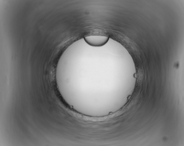 X0000102350043200808010946