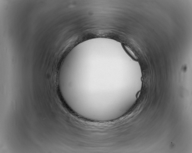 X0000102350044200808010946