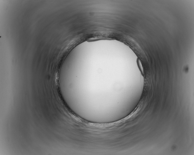 X0000102350045200808010946