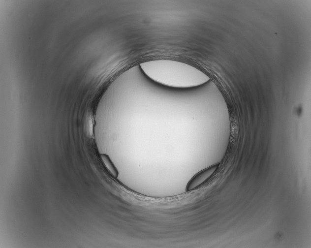 X0000102350046200808010946