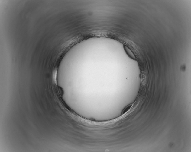 X0000102350047200808010946