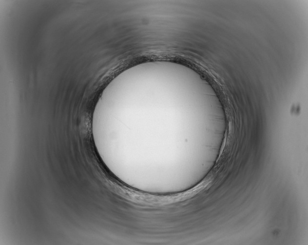 X0000102350048200808010946