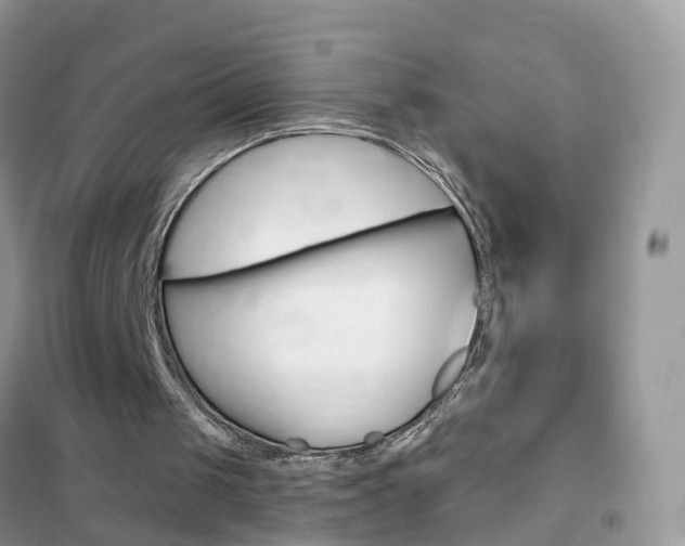 X0000102350049200808010945