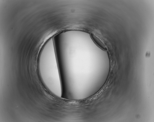 X0000102350050200808010945