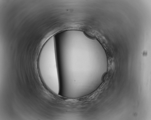 X0000102350051200808010945