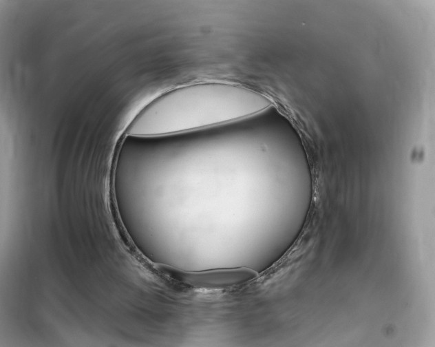 X0000102350052200808010945