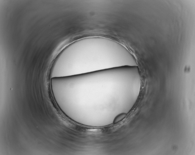 X0000102350053200808010945