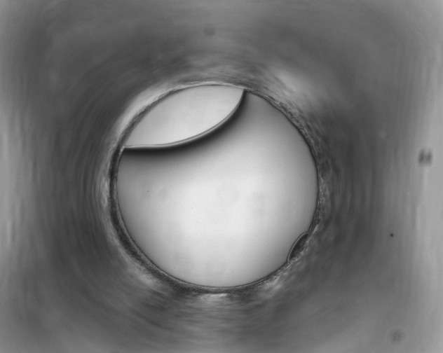 X0000102350054200808010945