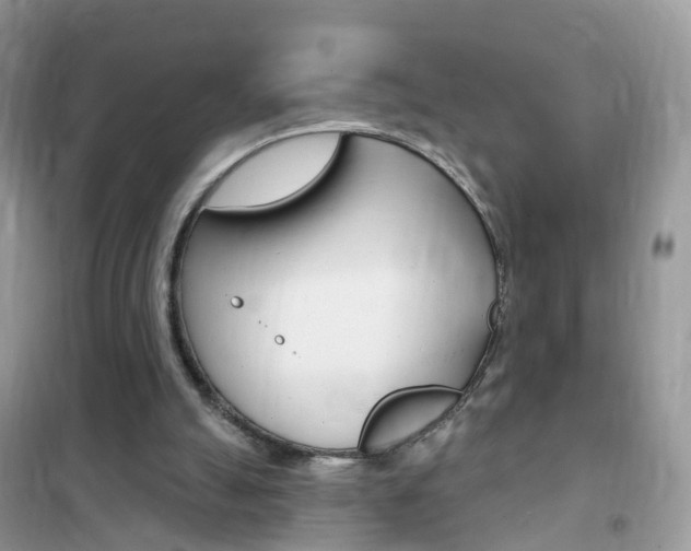 X0000102350055200808010945