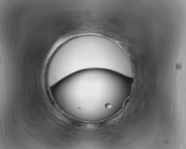 X0000102350056200808010945