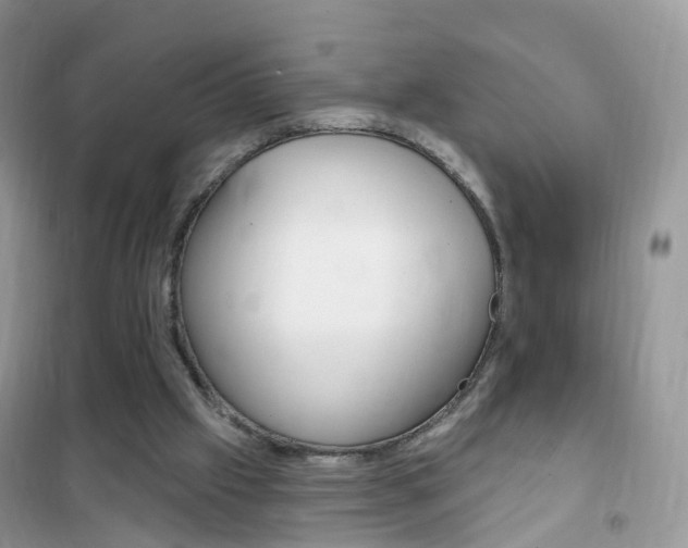 X0000102350057200808010945