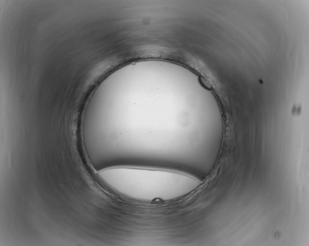 X0000102350058200808010945