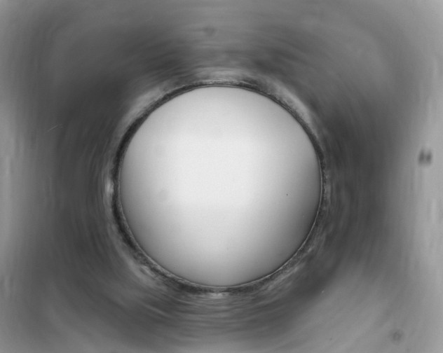 X0000102350059200808010945