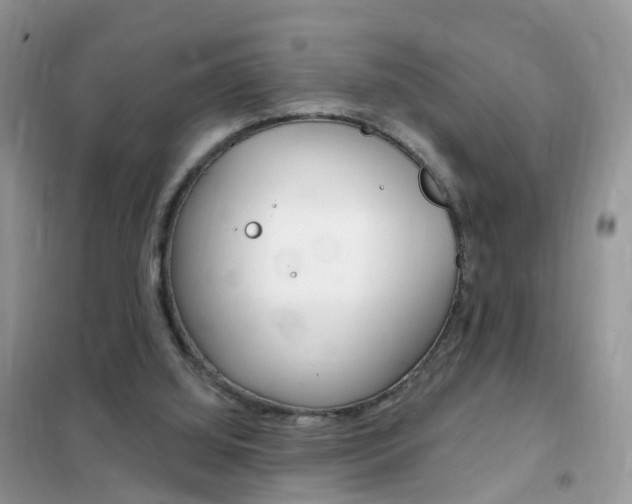 X0000102350060200808010945